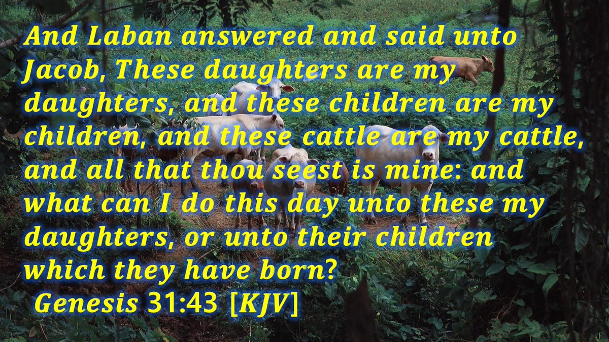 And Laban answered and said unto Jacob, These daughters are my daughters, and these children are my children, and these cattle are my cattle, and all that thou seest is mine: and what can I do this day unto these my daughters,