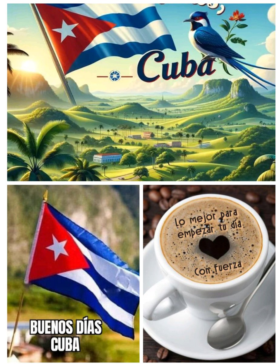 Mayd@ SC ❤️🇨🇺💯💪🥰💐🎉 tweet media