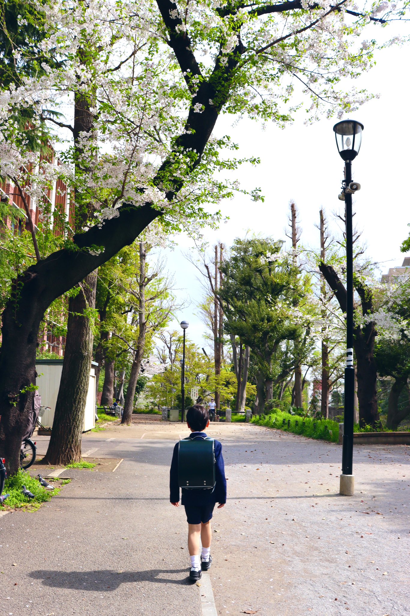 【ayakoページ】 人気のジオメトリックラバーが再登場！ | AYANOKOJI | あやの小路