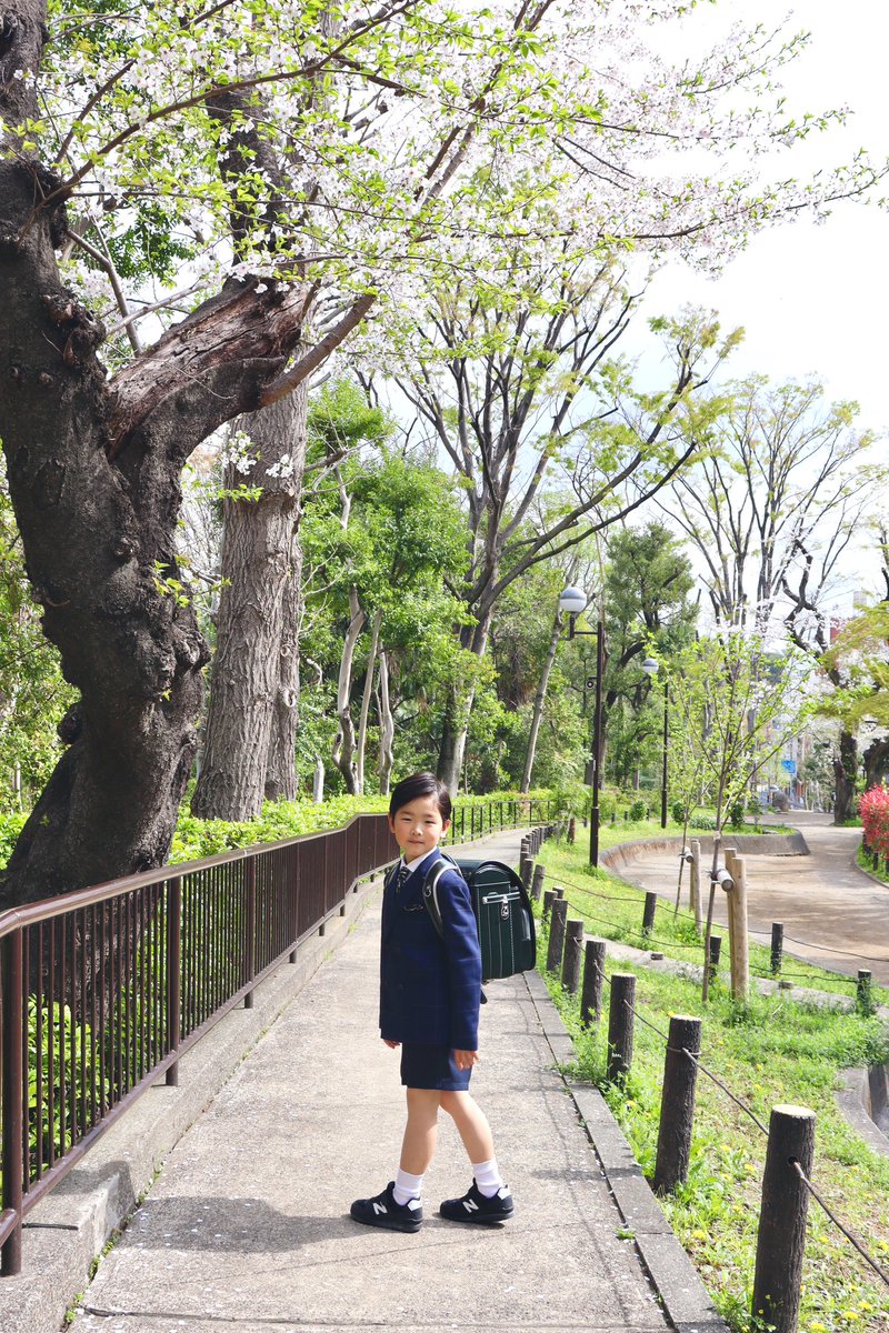 ☆ayako☆ ZX Studio Ayako 2.0 | Mirai Collectibles