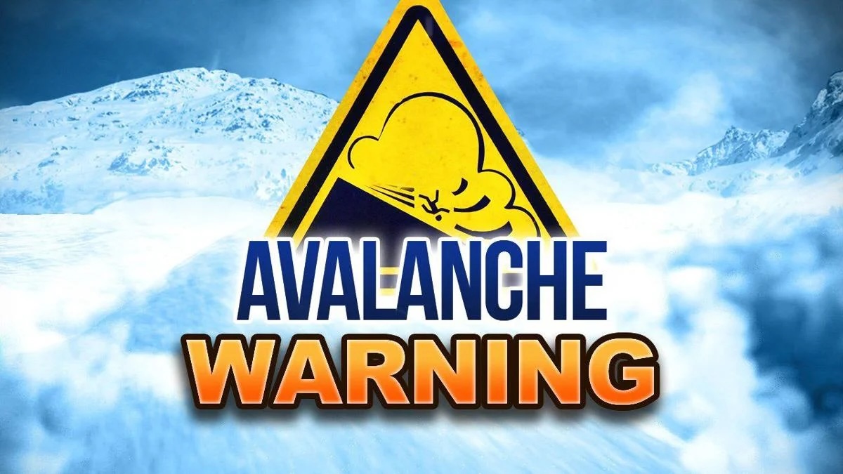 Avalanche warning issued in Kupwara and Ganderbal for next 24 hours Read more at: jammulinksnews.com/newsdetail/348…