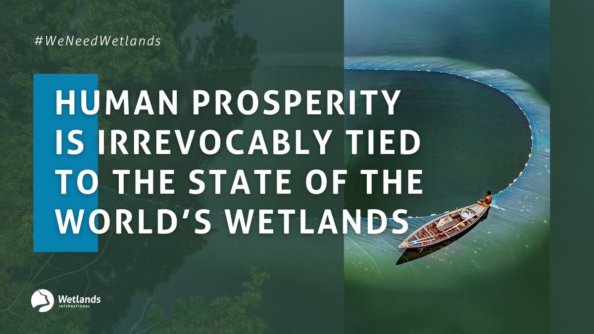 From filtering water to mitigating climate change and supporting livelihoods, wetland ecosystems provide vital services that sustain us. Wetlands are essential, unique, biodiverse, ecosystems. Read more: wetlands.org/blog/human-wel… #WetlandConservation #WetlandsMatter