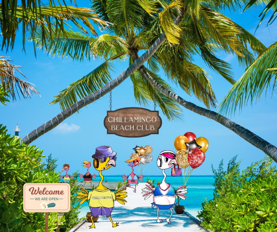 Chillamingo Beach Club tweet media