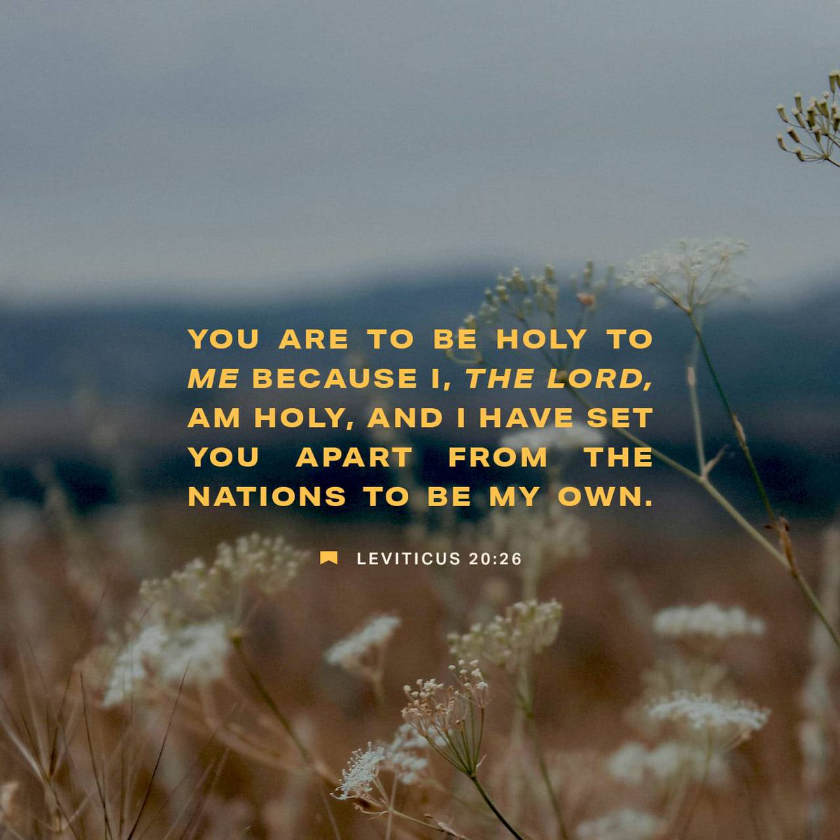 bible.com/verse-of-the-d…