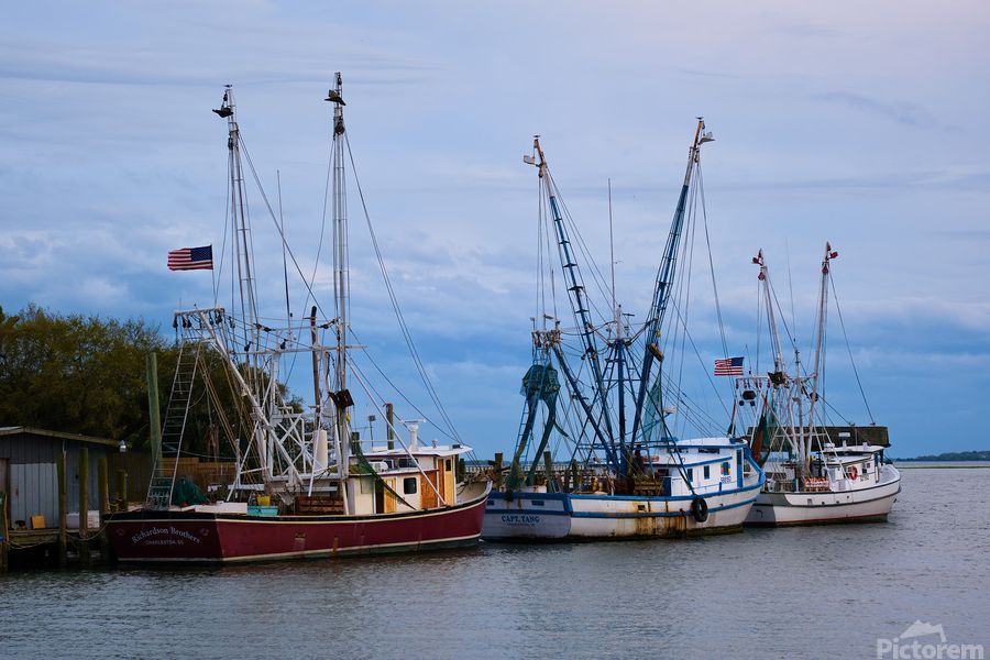 Photography from Shemp Creek in Charleston is a great way to decorate your walls and add unique textures to your space #wallart #photography #artprints  #giftidea #art #artforsale 
click link for pricing and to purchase buff.ly/3U5ZaUM