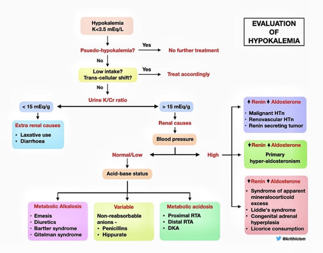 Evaluation of hypokalemia @krithicism #Nephrology
