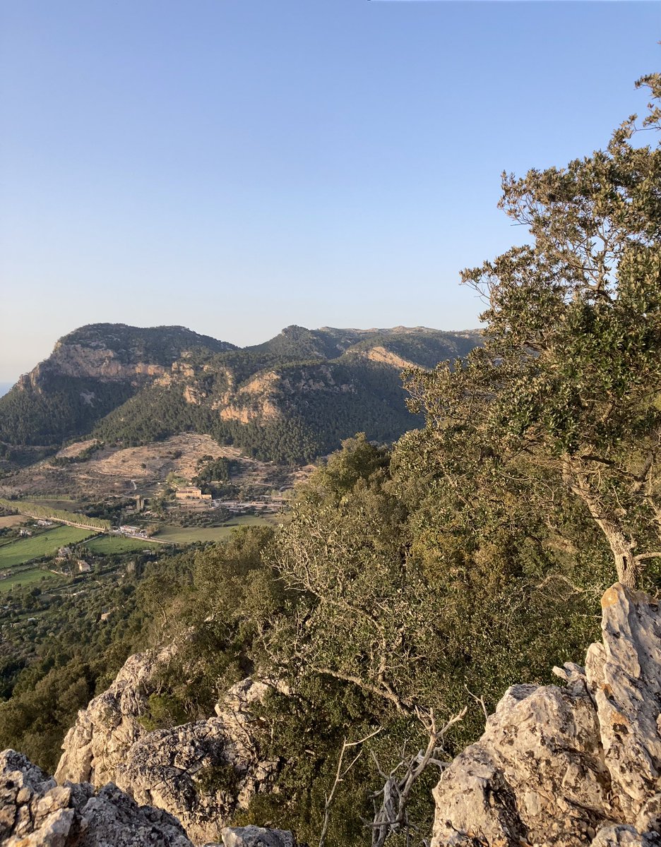 mingoren3's tweet photo. Pixos y vistas https://t.co/yqJUYeRq7p