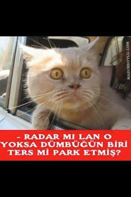 Yol kenarına düzgün parkedin, !!! 

Çok ağır sövüyorum şu anda 🤣🤣🤣 bıktım la şu şekil gidiyorum yolda 😂