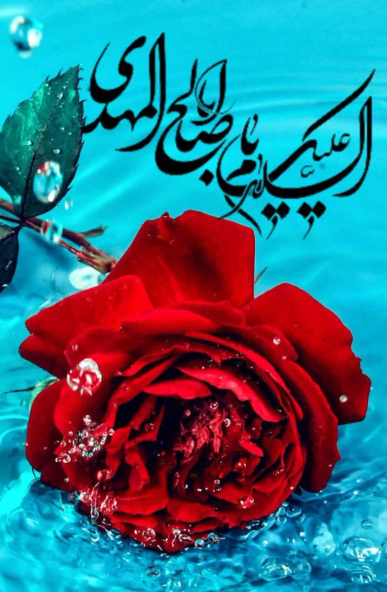 السَّلَامُ عَلَیْکَ یَا طَامِسَ آثَارِ الزَّیْغِ وَ الْأَهْوَاءِ...

سلام بر تو ای مولایی که تنفس هوای بودنت، آلودگی تمام هواهای نفسانی را از آسمان تاریک  دلها پاک می کند.

سلام بر تو و بر روزی که خورشید نگاهت، آثار شب را از پیشانی جهان پاک خواهد کرد!

#اللهم‌عجل‌لولیک‌الفرج