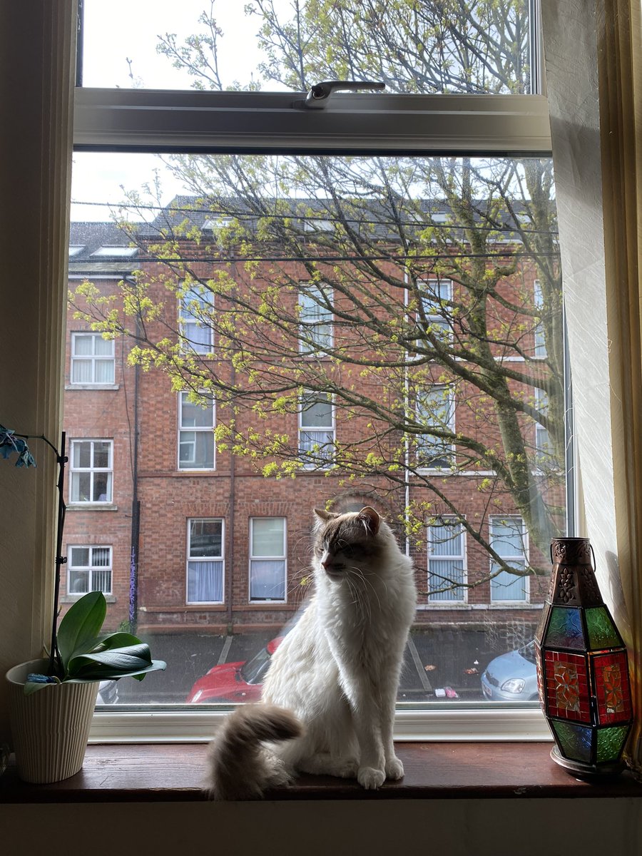 egobaby__'s tweet photo. his photosynthesising spot https://t.co/59DFXZv6db