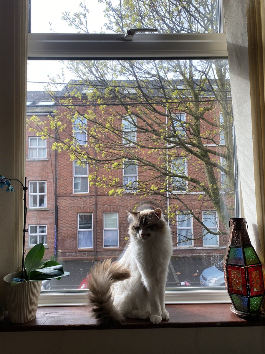 egobaby__'s tweet photo. his photosynthesising spot https://t.co/59DFXZv6db