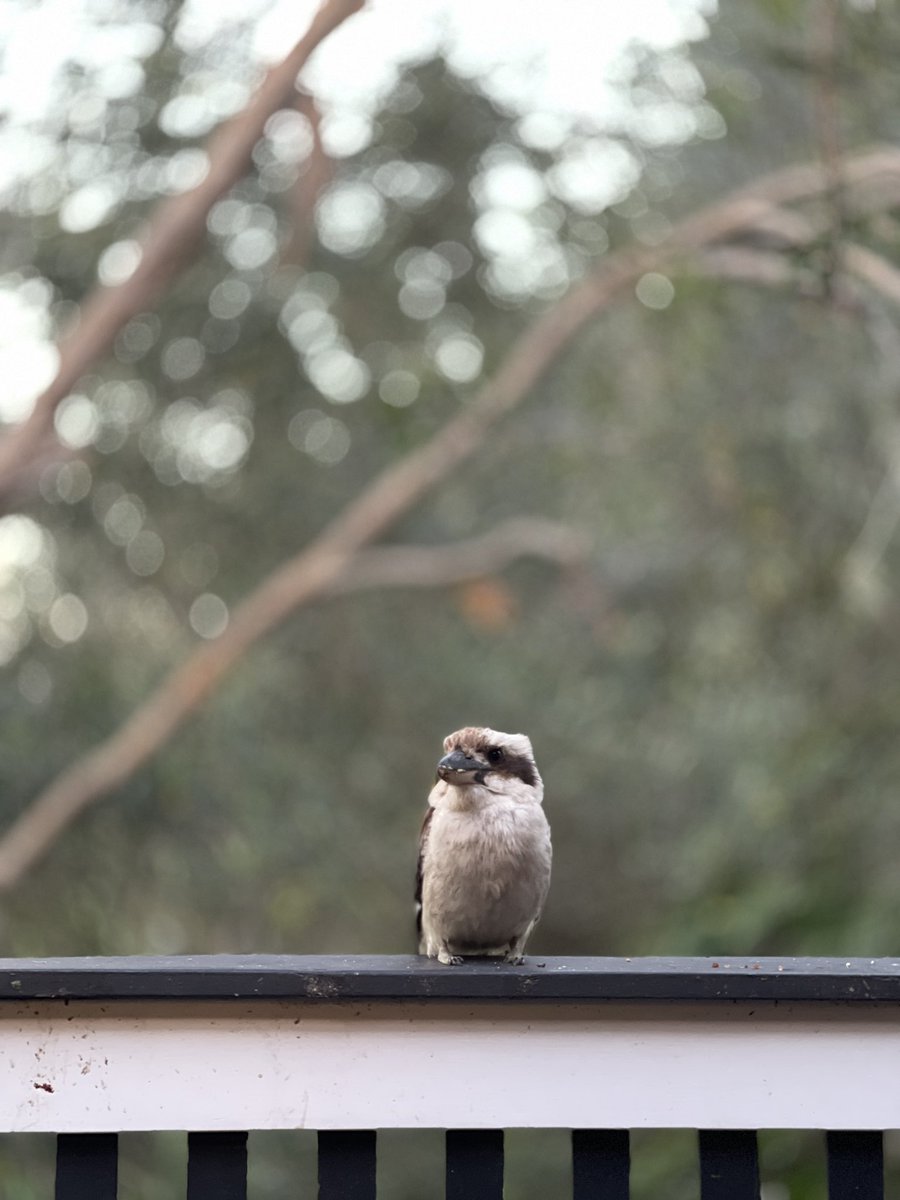 Paul Took tweet media