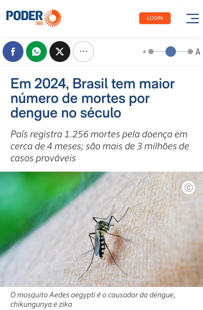 Dengue pipocando no Brasil com o agravante da Chikungunya.

✅ Sem vacina
✅ Sem contagem de mortos
✅ Sem número de casos 
✅ Globo calada 

O amor voltou.