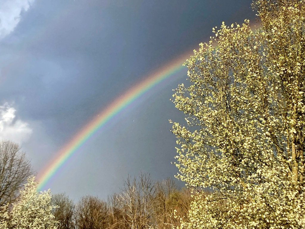 Good morning, Xers! Rainbows after a storm fill me with the same sense of awe now as when I was a child. What are you grateful for today?