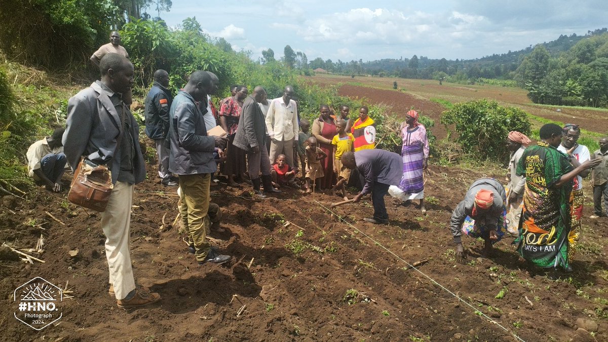 DivineOrganicUg's tweet photo. Smallholder carrot farmers from Kwosir Sub-County in Kween District is supported by our agronomist to learn rightful planting practices.

Good yield is based on good seeds, field preparation, and management. @TechnoServe
@NLinUganda

#AmaroFoods #MothersLove #HortiMAP https://t.co/VRwkimxY3M