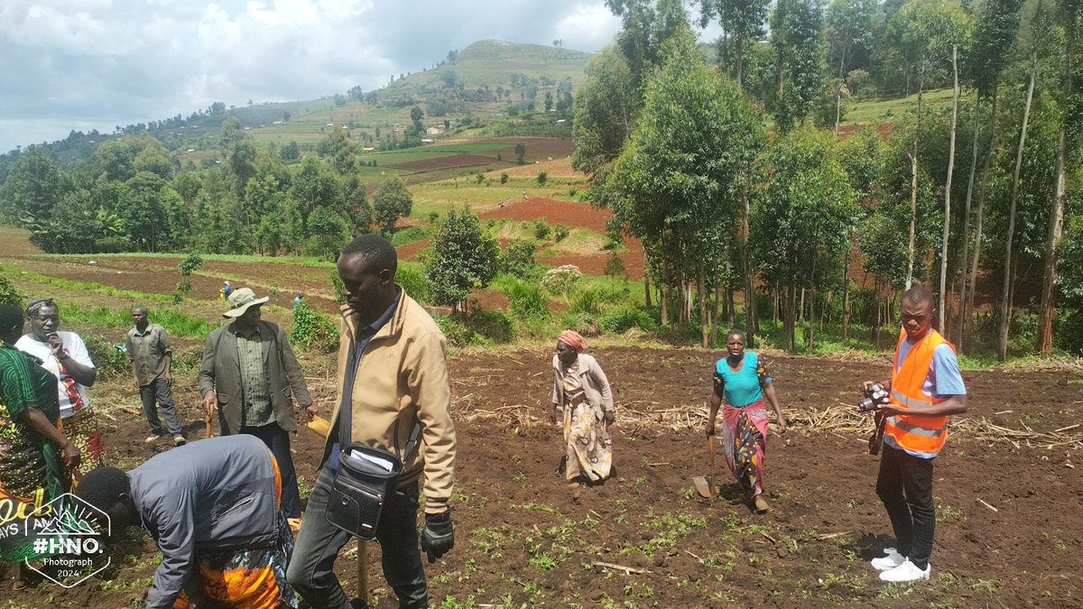 DivineOrganicUg's tweet photo. Smallholder carrot farmers from Kwosir Sub-County in Kween District is supported by our agronomist to learn rightful planting practices.

Good yield is based on good seeds, field preparation, and management. @TechnoServe
@NLinUganda

#AmaroFoods #MothersLove #HortiMAP https://t.co/VRwkimxY3M