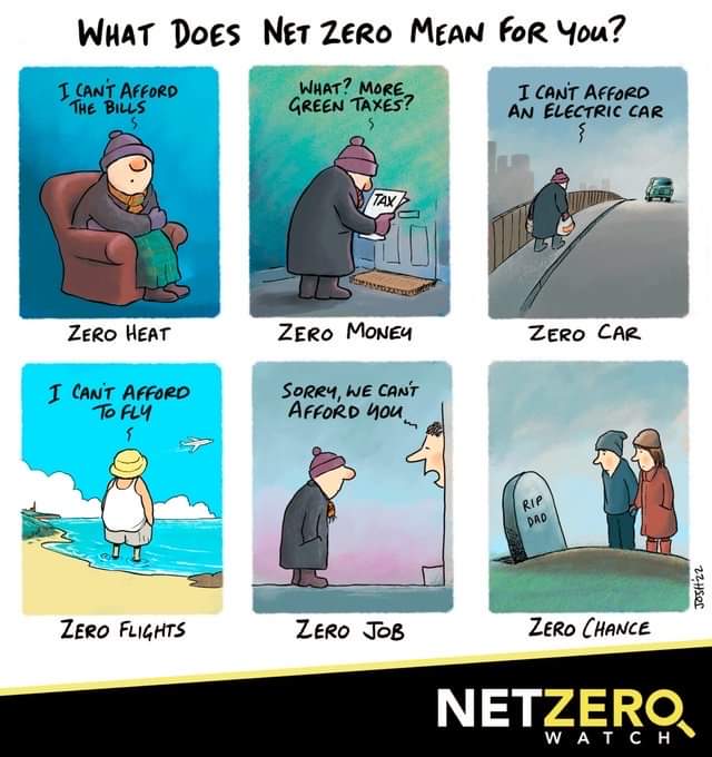 #netzero