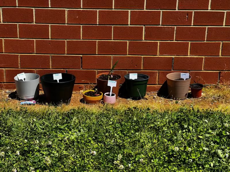 Mrs. Moreno’s class helped beautify our campus with a spring project, her families jumped into help as well! Check out their handy work… 🌸🌺🌻#TeamUCPS #GrowingLEADers @AGHoulihan @Renee_McKinnon1 @UCPSNC