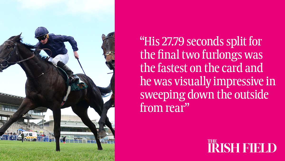 In The Irish Field this weekend, Tony Keenan @RacingTrends looks further into recent Leopardstown results and also offers his Grand National views.