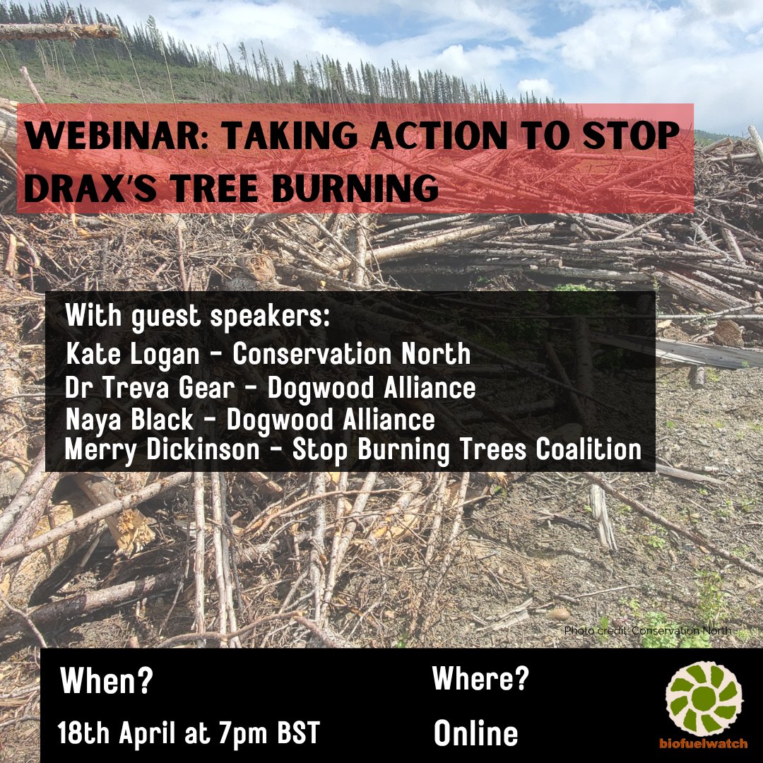 If you're free this Thursday at 7pm UK time, please join us, @DogwoodAlliance, @Conserva_North & @sbtcoalition to hear how we can take action to stop Drax's tree burning: tinyurl.com/48s66kf7 All welcome! 🔥🌳🔥 #StopBurningTrees #DraxAGM #AxeDrax 🌳🌏