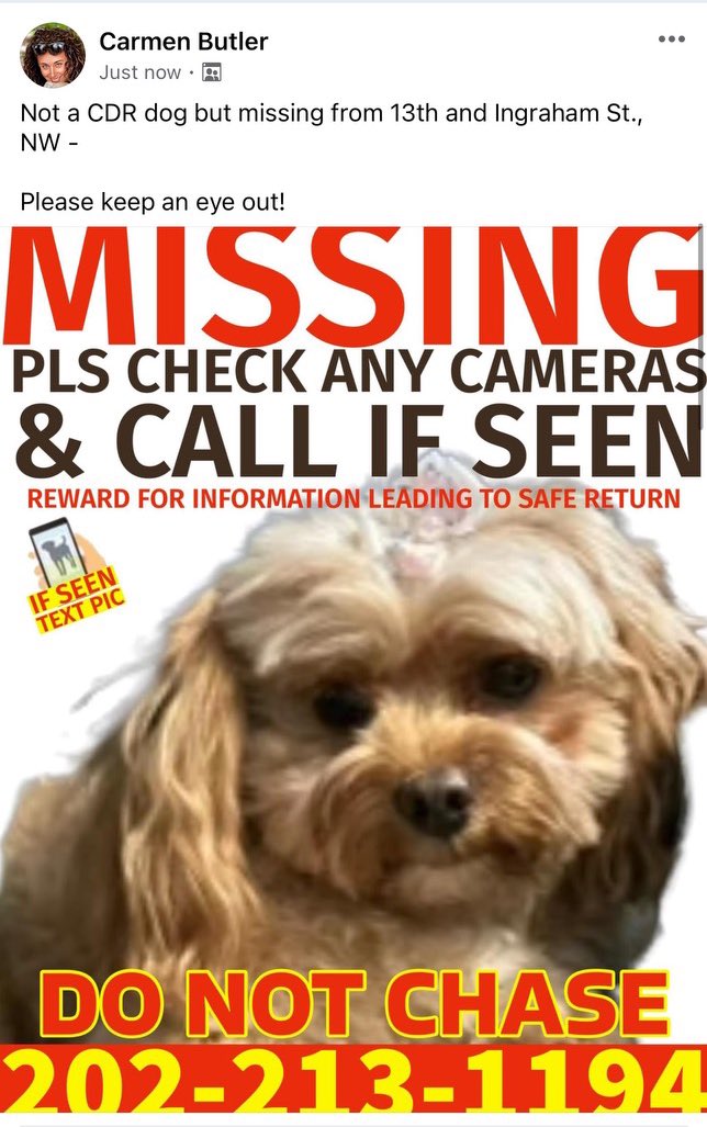 Headed back out to find Bella Marie. Connected w/Professional Pet Trackers. The tracker, Carmen, swung into action last night. Here is a new flier. Last night we learned that if you see a dog in flight/survival mode, you should not call its name or chase it.