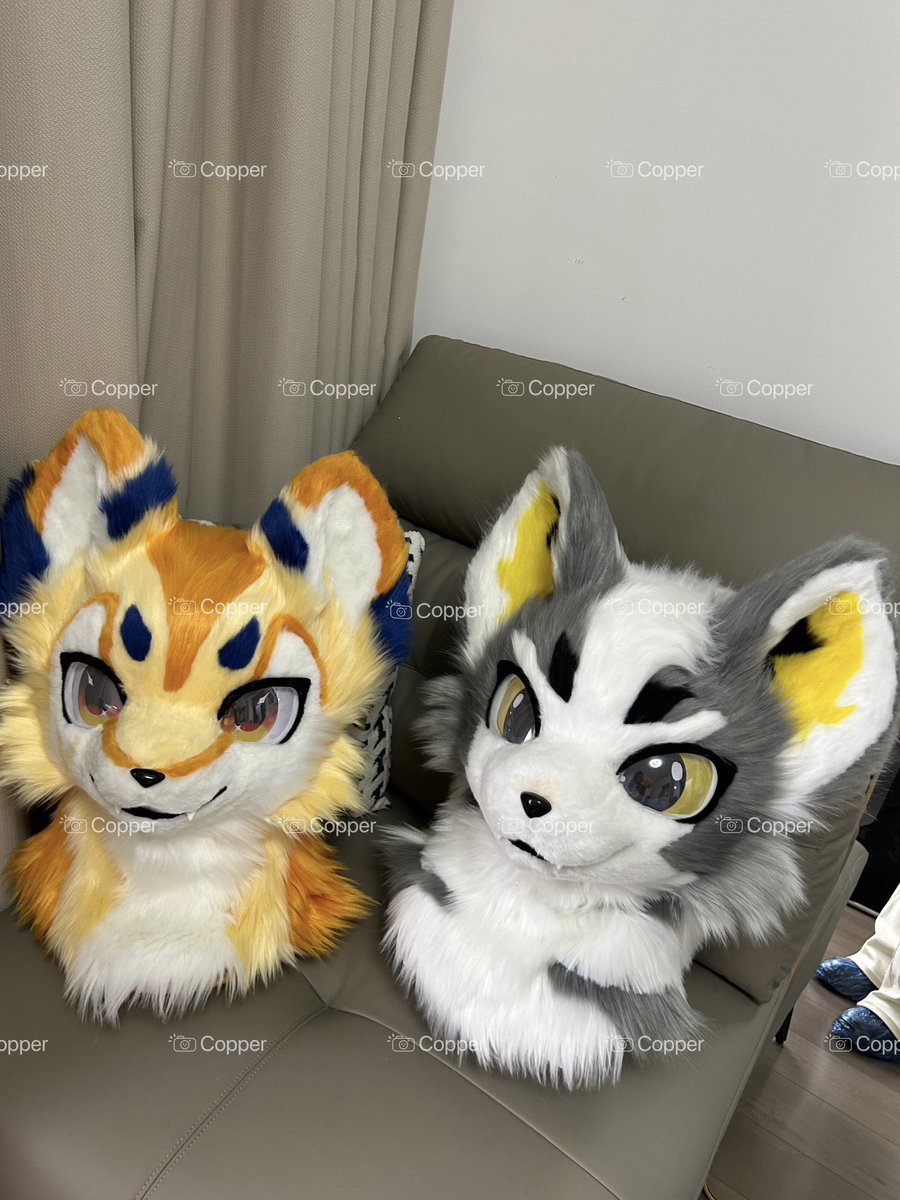 Two adorable babies are on sale! Purchase and receive a complimentary bell collar 🔔 #fursuit #fursuitforsale #fursuitmaker #fursuithead
#fursuitcommissions #fursuitcommission #fursuits #fursuiter #furry #furrvfriends #furryfandom #furrvartwork
#furryart