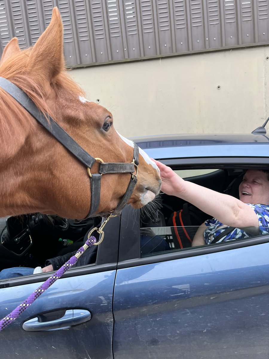 My parents paid a visit to Penny this morning, I admire how kind and gentle she is around people🥹🫶🏼