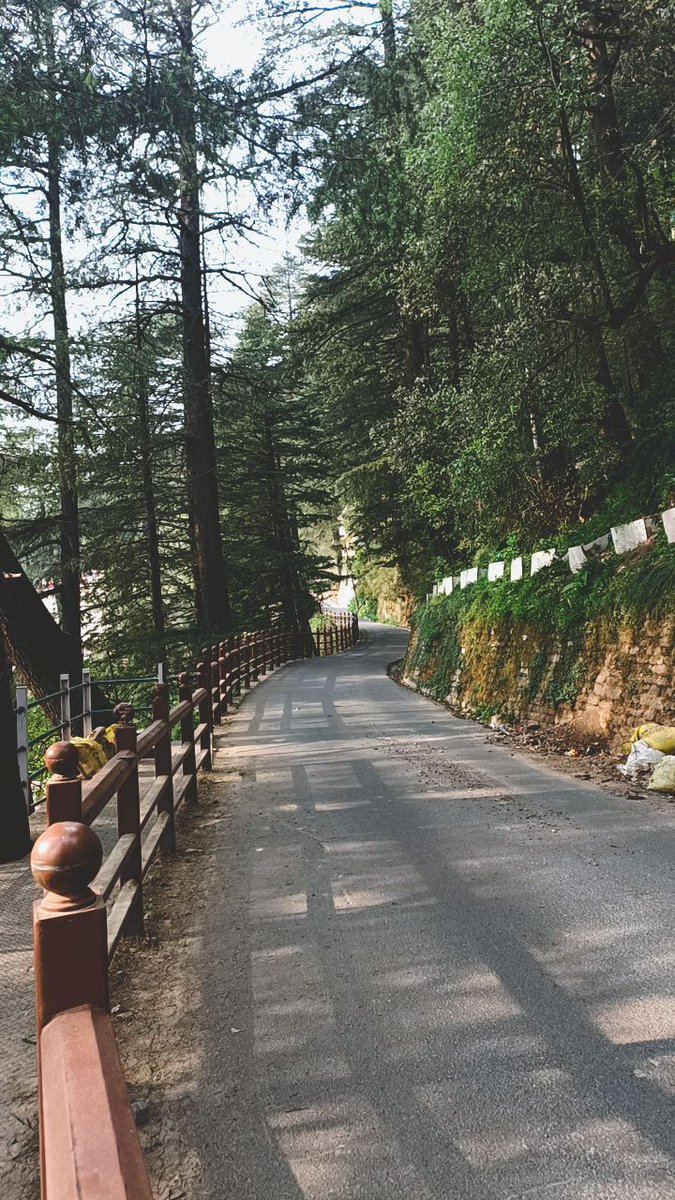 My favourite place...
📍Forest hill road, Shimla

#SaturdayVibes #shimla #HimachalPradesh