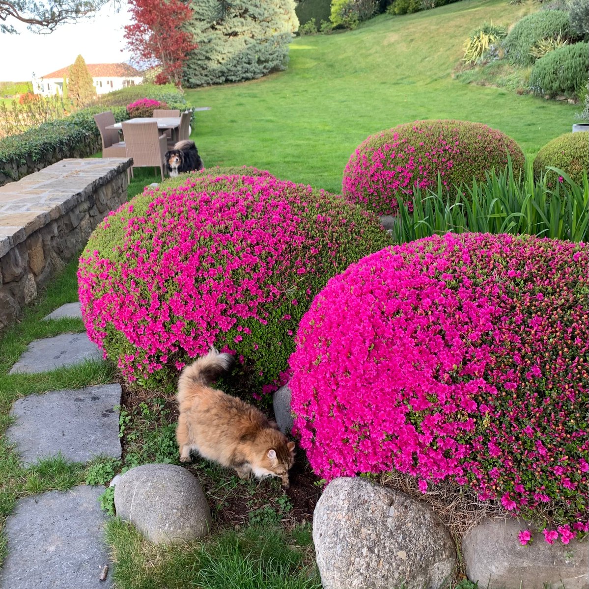 Sandra Nickel 📚 tweet media