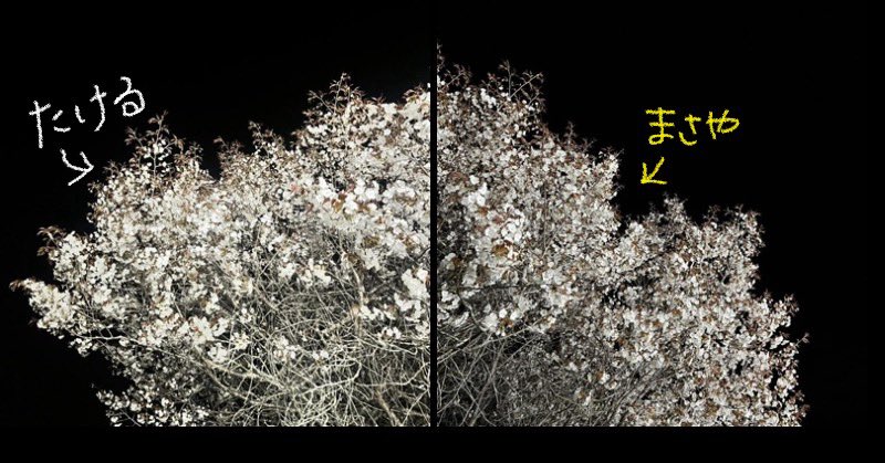 ちよ tweet media