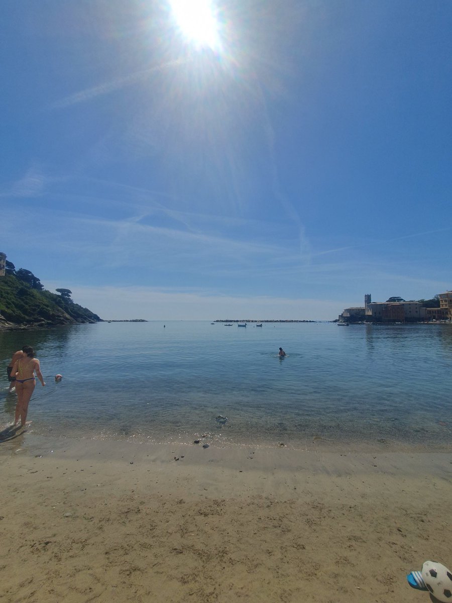 mattex53's tweet image. Welcome spring 🙏