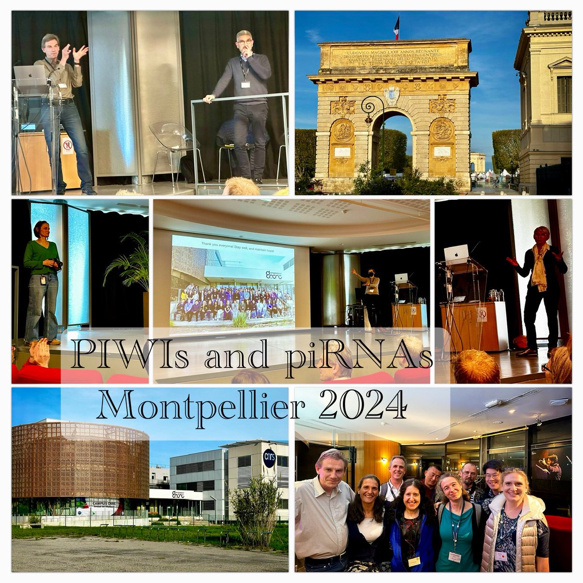Astrid Haase (@haase_astrid) on Twitter photo Exciting discussions on piRNA biology: thank you for organizing, Martine, Severine, Ramesh, and ā¦<a href="/farmgirlphd/">Dr. Julie Claycomb</a>ā©! It was wonderful seeing you all! ā¦<a href="/AlexeiAravin/">Alexei Aravin</a>ā© ā¦@ketting_reneā© ā¦<a href="/LandweberLab/">Laura Landweber</a>ā© ā¦@juliusbrenneckeā© ā¦<a href="/zamore_lab/">ZamoreLabUMass</a>ā© Exciting discussions on piRNA biology: thank you for organizing, Martine, Severine, Ramesh, and ā¦<a href="/farmgirlphd/">Dr. Julie Claycomb</a>ā©! It was wonderful seeing you all! ā¦<a href="/AlexeiAravin/">Alexei Aravin</a>ā© ā¦@ketting_reneā© ā¦<a href="/LandweberLab/">Laura Landweber</a>ā© ā¦@juliusbrenneckeā© ā¦<a href="/zamore_lab/">ZamoreLabUMass</a>ā©