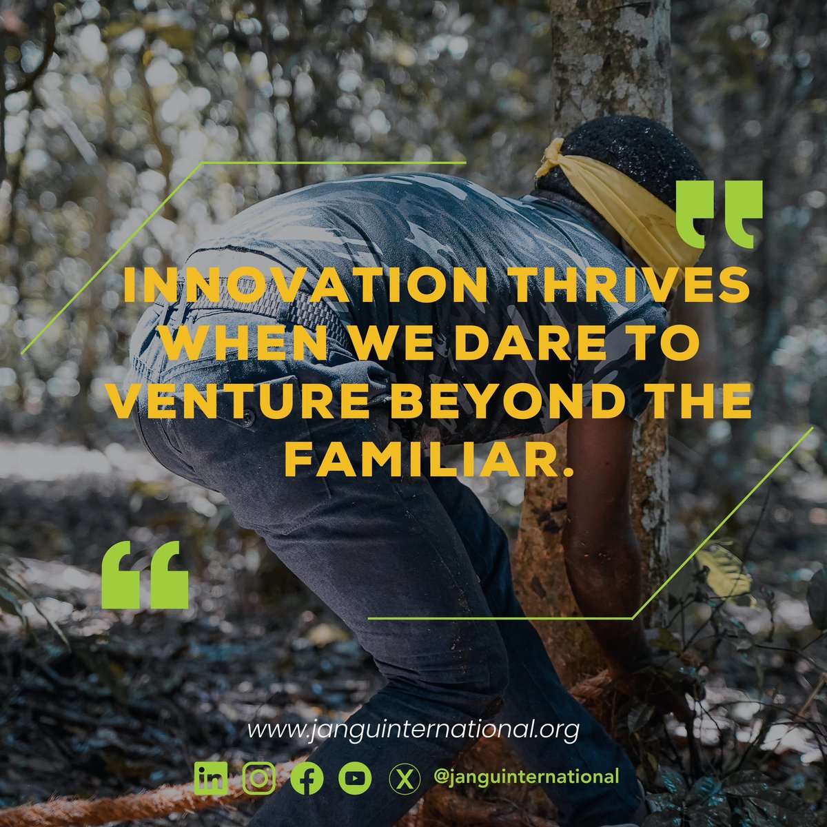 Jangu International tweet media