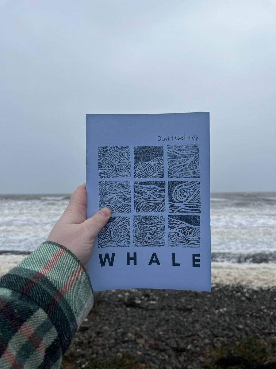 This afternoon we are launching David Gaffney’s Whale at The Beacon Museum in Whitehaven🐋 This is our first fiction publication with @OsmosisPress and I’m incredibly excited! 🌊