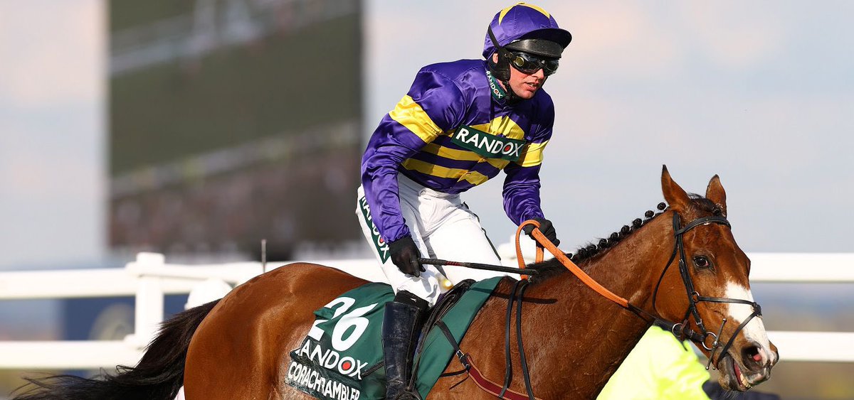 The Race Horse Guy tweet media