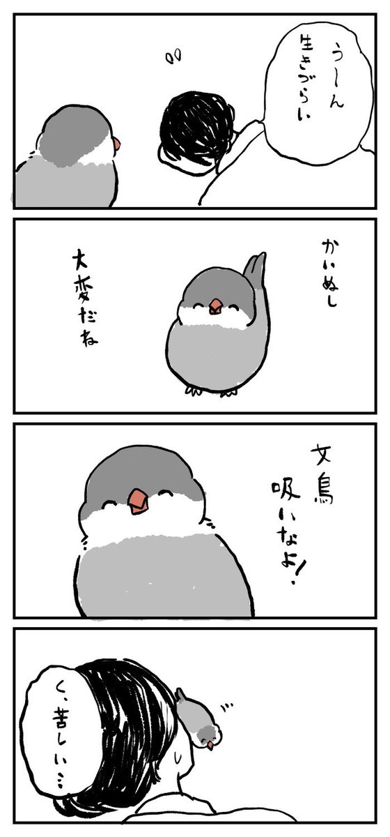 文鳥さんは吸わせてくれる 