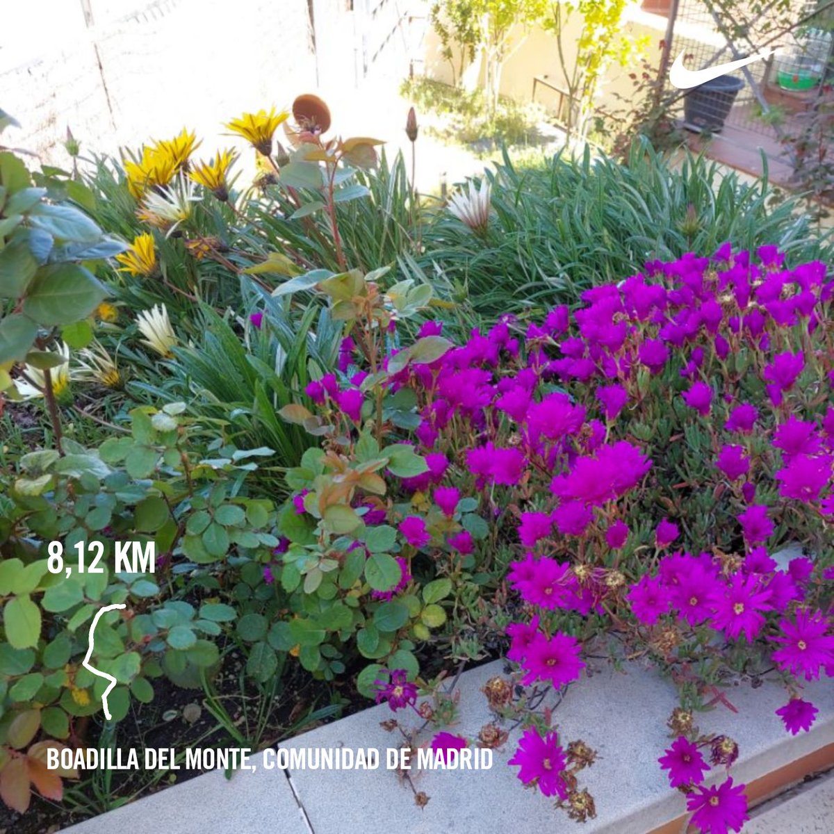 luisperezlopez's tweet image. ...arranca la primavera.  Acabo de correr 8.12 km a un ritmo de 6'10" con #NikePlus.