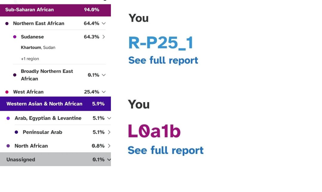 يسرني الاعلان عن نتيجة لقبيلة عرب البقارة المسيرية الزرق من جنوب كردفان
 على السلالة R1b v88