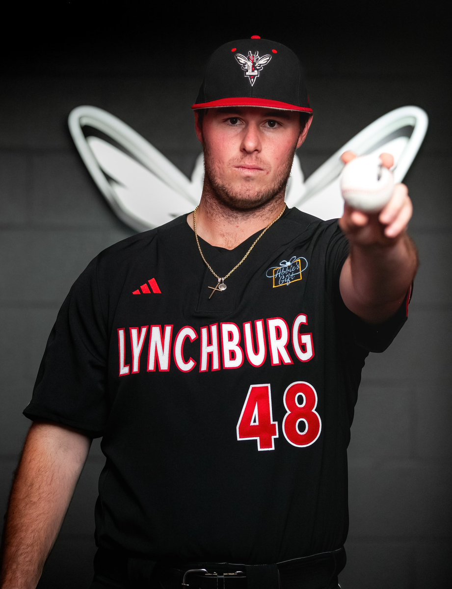 Lynchburg Baseball tweet media