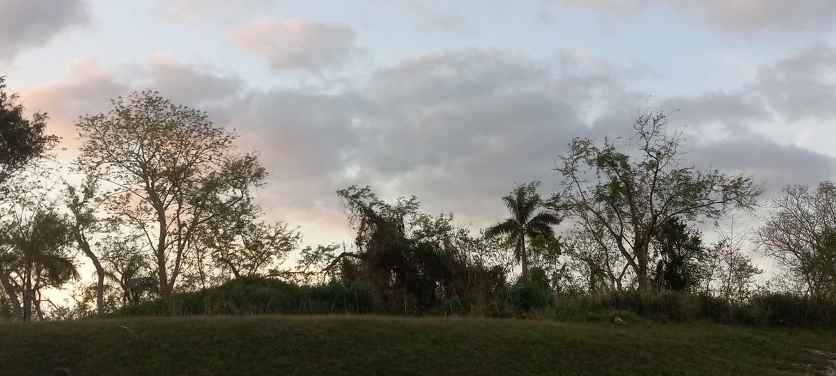 Qué cubano no ama la gloria. Qué alma no se enciende en este amanecer glorioso. Es #13deabril. Y cada día parece el día de Yara, de Baire y de Girón. Buenos días Ciudad. #LaHabanaViveEnMí #TodoPorLaRevolución #FidelPorSiempre #CubaVa