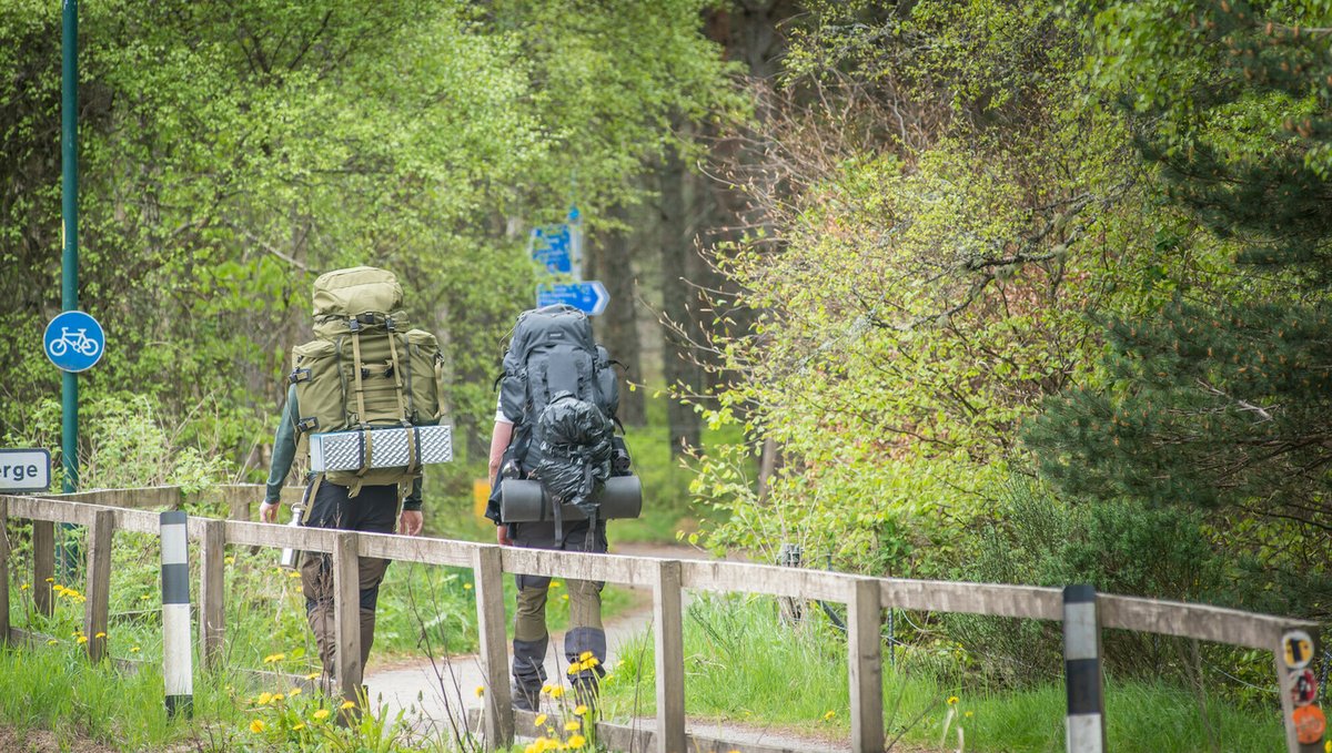 Wild camping in the Cairngorms this spring? Please #LeaveNoTrace by taking all of your litter away and removing any traces of your camp pitch ⛺ 

Find out how you can enjoy the National Park responsibly at cairngorms.co.uk/discover-explo…

📸 Liam Anderstrem