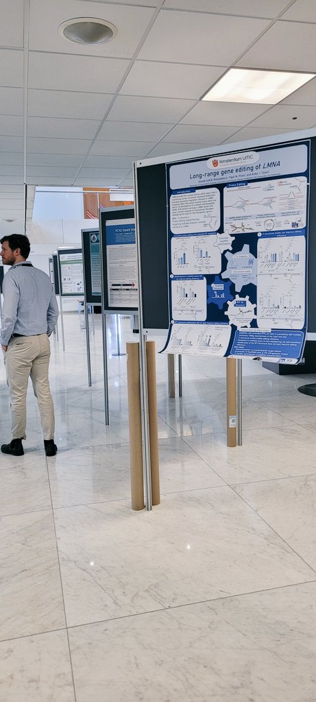 Visit poster 225 today if you would like to know more about gene editing 🧬 for LMNA associated dilated cardiomyopathy 🫀 at #FCVB2024 #ESCBasicScience find me in the next poster session from 15.30-16.30!