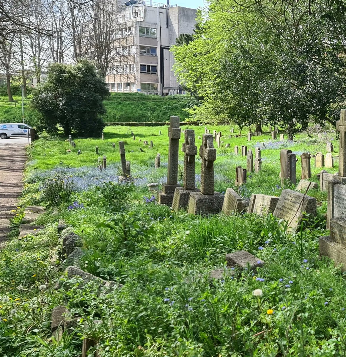 A really worthwhile couple of hours volunteering at St Michael & All Angels Church Heavitree The Friends weed the gravel by hand so that headstones can be seen. How great is that 💚 #Exeter #nopesticides