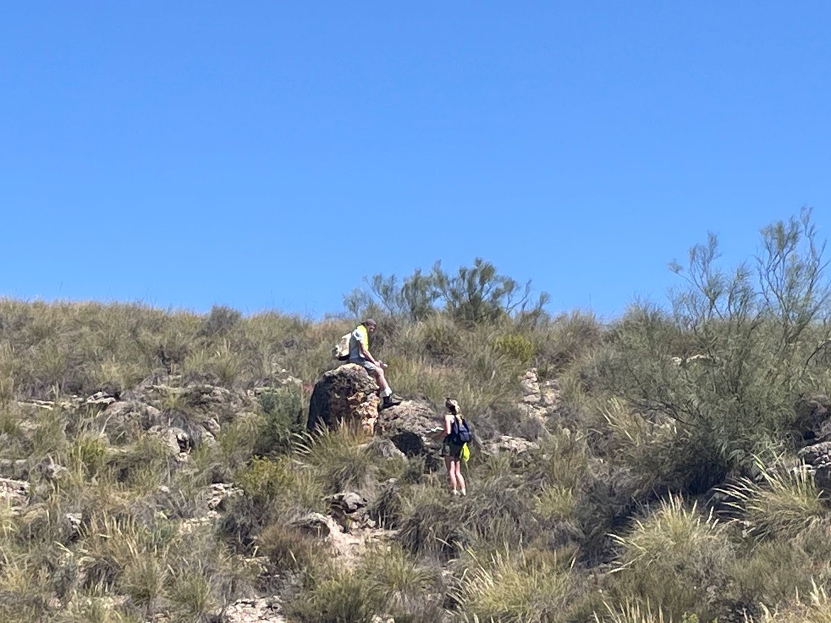 micharuhl tweet media