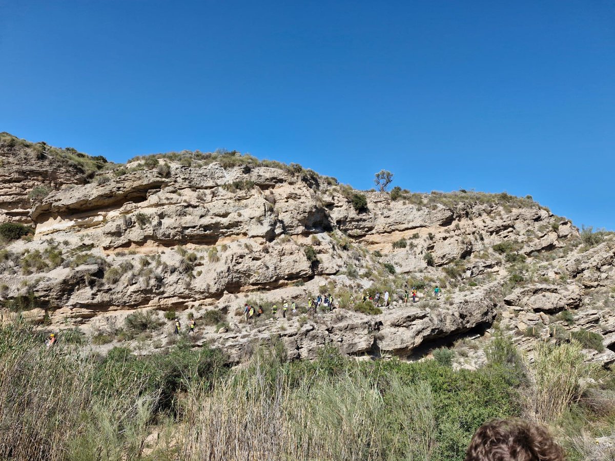 micharuhl tweet media