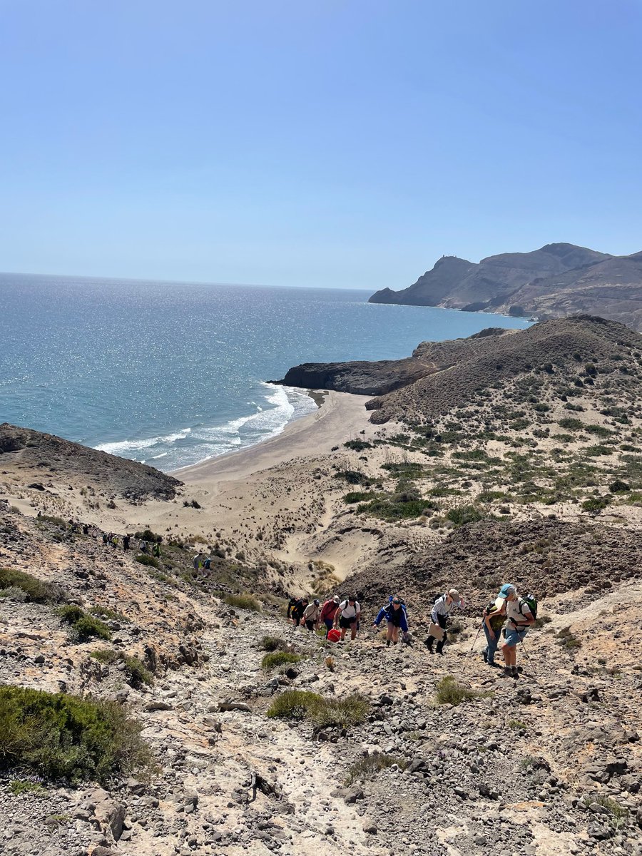 micharuhl tweet media