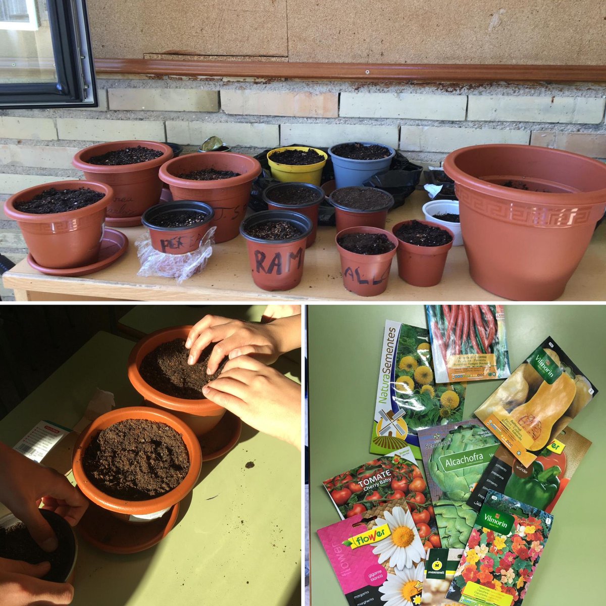 ¡Ayer fue una jornada llena de diversión y aprendizaje en clase de #Biología! 🌱💐 Nos encantó cultivar semilleros de hortalizas y flores. ¡Una experiencia enriquecedora que nos acerca a la naturaleza! 🌿🌸 #EducaciónSecundaria #AprendizajeDivertido