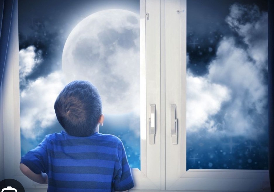 Natalia Ponce de León tweet media