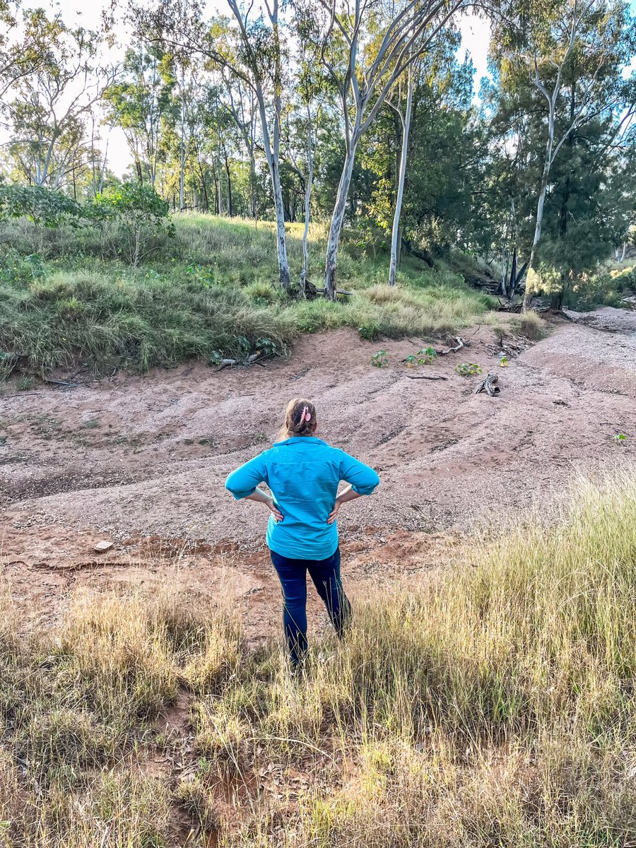 Pinch myself moment of… “How did we come to own a creek!?” 🤷‍♀️ #workanywhere