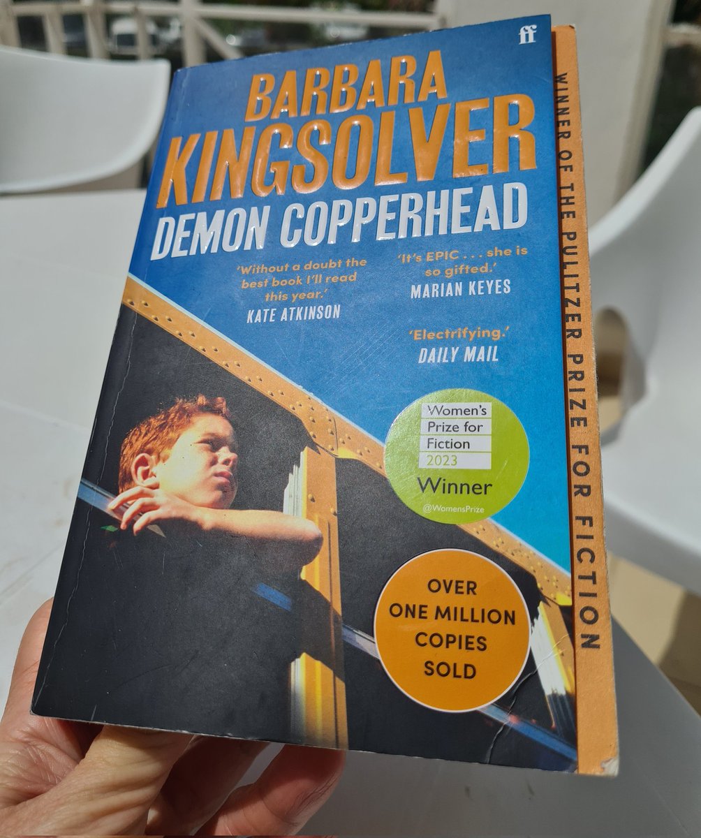 Last year, after seeing the Sackler name still carved at the RA, within a month I'd read Empire of Pain, watched Nan Goldin's incredible documentary, plus Dopesick and Painkiller. Maybe it was in readiness for Kingsolver's Demon Copperhead - I think it's going to break my heart.
